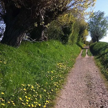 A - Holiday Home Johanna Nyaraló